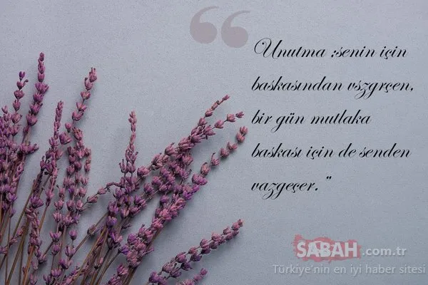 Doğum yıl dönümde Mevlana'yı anıyoruz...Mevlana'nın 10 özlü sözü