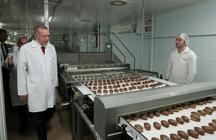 Detsa Trafo Ltd, industrial enterprise, Turkey, Kocaeli, Dilovası, Köseler Mah.,