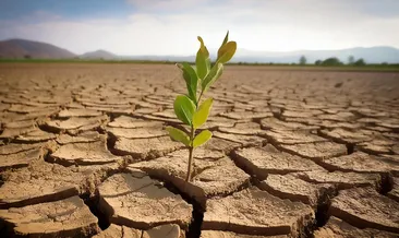 56 milyon yıl önce dünya nasıl cehenneme döndü? Bilim insanları şaşkın: Tehlike yeniden kapımızda...