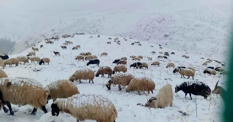 Van’ın Başkale ilçesinde kar yağışı