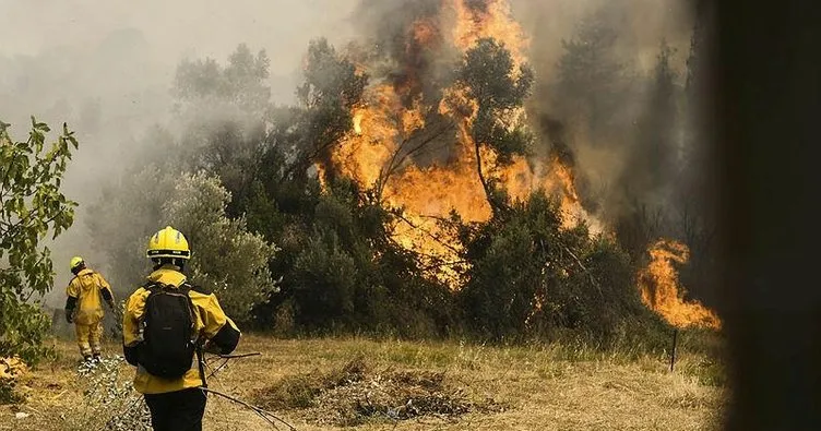 Yunanistan’da yangın felaketinin bilançosu belli oldu