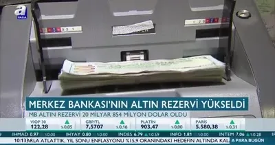 Merkez Bankası’nın döviz rezervi arttı