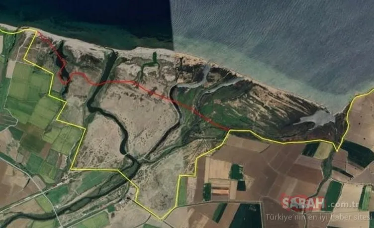 Marmara Denizi ve Adalar’a bakanlık koruması: 37 bilim insanı çalıştı, tek tek tespit edildi