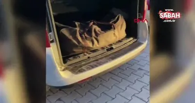 Otomobilde 31 kilo skunk ele geçirildi; 4 tutuklama | Video