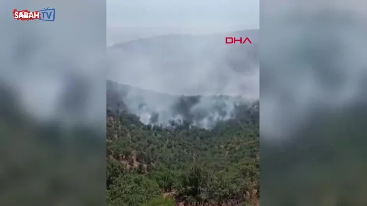 Konya'da orman yangını! | Video