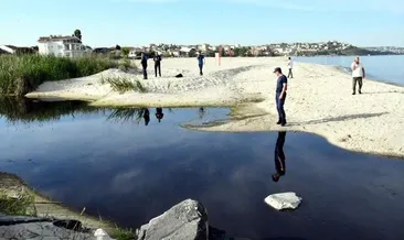 Çevreciler katliama sessiz kaldı