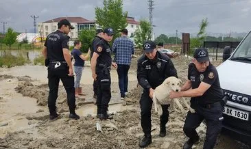 Polis dost elini selde sokak hayvanları için uzattı
