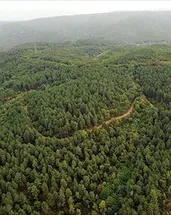 Orman kadastrosu uygulaması düzenlendi