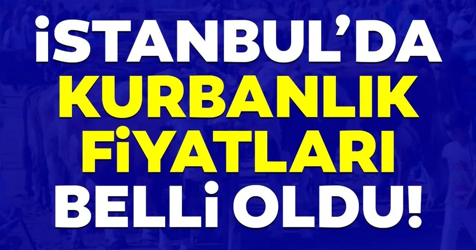 Istanbul Da Kurbanlik Fiyatlari Belli Oldu Ekonomi Haberleri