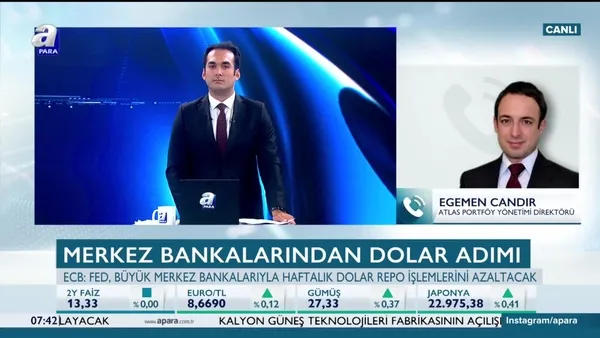 Canar: ECB'ye politikacılar yön veriyor