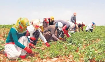 2024’te tarım işçisi arayışı artacak