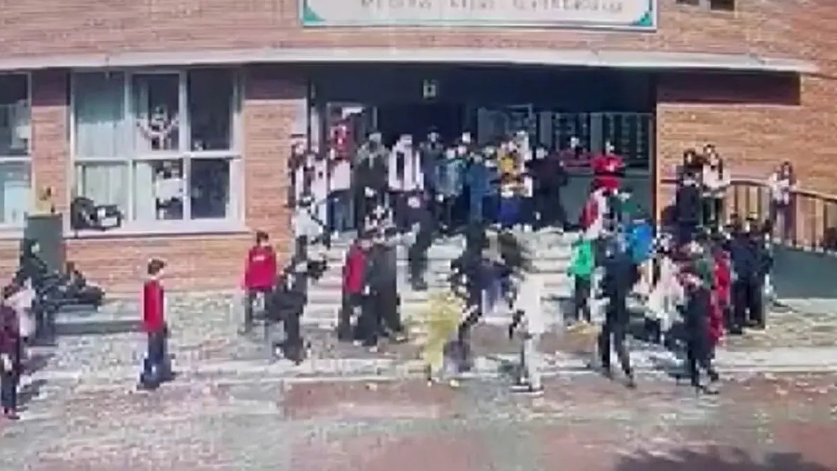 İstanbul'da okul bahçesine giren köpek 6 kişiyi ısırdı: Sahibi gözaltında!