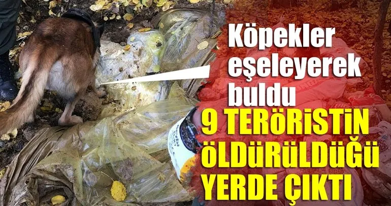 Son dakika haberi: Tunceli’de 9 PKK’lının öldürüldüğü yerde bulundu