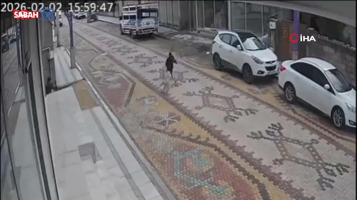 Sokak köpeklerinin saldırdığı çocuğun yardımına esnaf yetişti! | Video videosunu izle Sokak köpeklerinin saldırdığı çocuğun yardımına esnaf yetişti! | Video videosunu izle