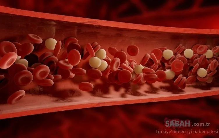 Damarları saatler içinde kristal gibi parlatıyor! Tükettiğiniz anda etki ediyor, kolesterol düşmanı besin