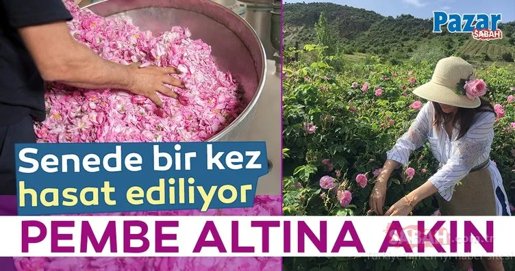 Pembe altına akın