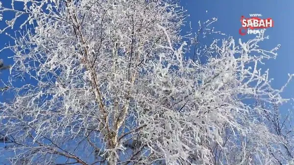 Ardahan’da dondurucu soğuklar: Göle eksi 32 derece | Video