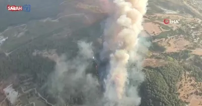 İzmir Buca’da orman yangını