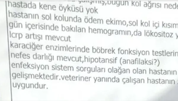 kopek-isirdiktan-sonra-olmustu-bilim-kurulu-uyesi-o-bakteriye-isaret-etti-1712239051294.jpg