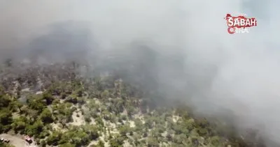 Bolu’da yangına havadan ve karadan müdahale sürüyor: 50 hektarlık alan küle döndü | Video
