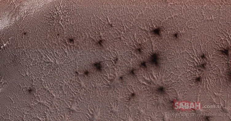 Mars örümcekleri uzaylı tartışmalarına neden oldu!