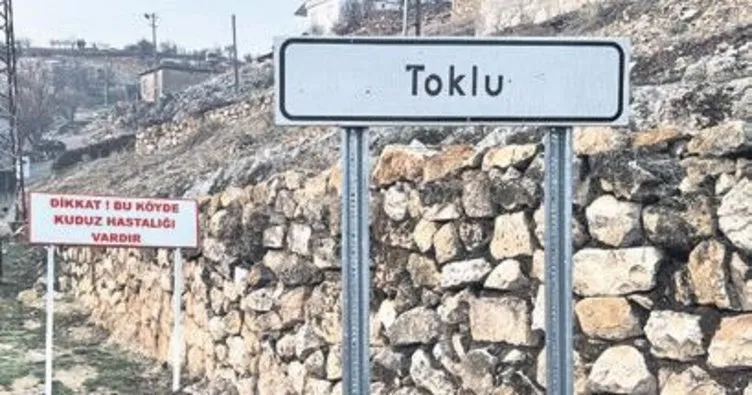 Adıyaman’da kuduz karantinası