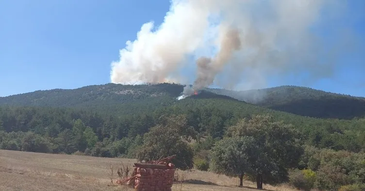 Son dakika: Eskişehir, Balıkesir ve Bursa’da orman yangını