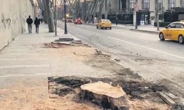 Çırağan artık çınarsız