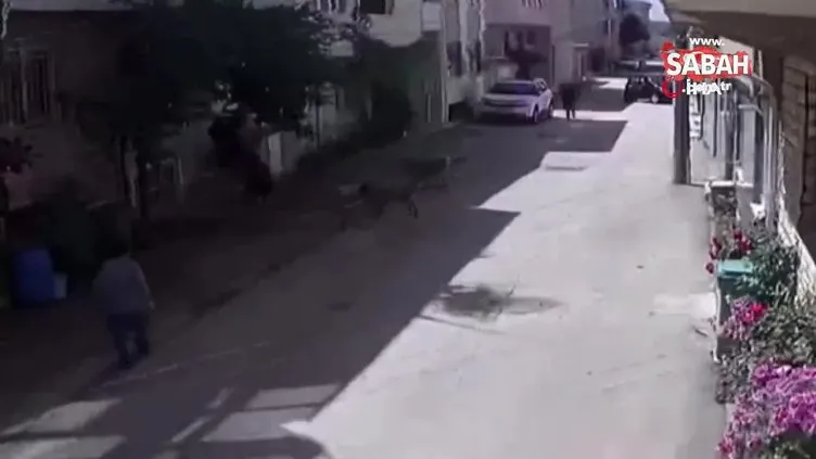 Bursa’da 3 sokak köpeği çocuklara böyle saldırdı