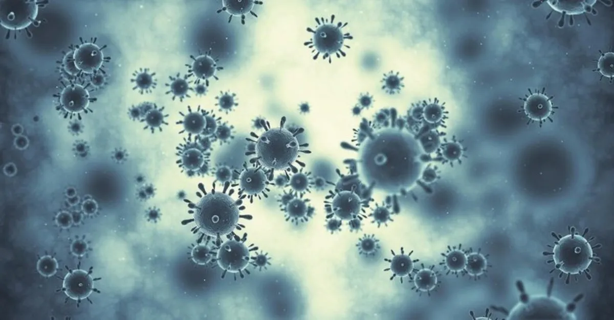 Lenf Kanseri Nedir Belirtileri Nelerdir Lenf Kanseri Tedavisi Nasil Yapilir Olumcul Mudur Saglik Haberleri