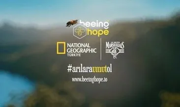 Türkiye’nin ilk NFT mültidisipliner sanat koleksiyonu ile ’Arılara Umut Olacak’lar