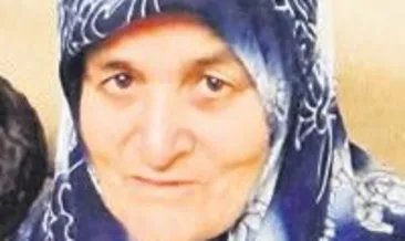 Babaannesini bıçakladı