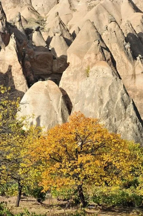 Kapadokya’da sonbahar güzelliği