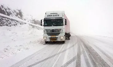 Bingöl’de 182 köy yolu kardan ulaşıma kapandı