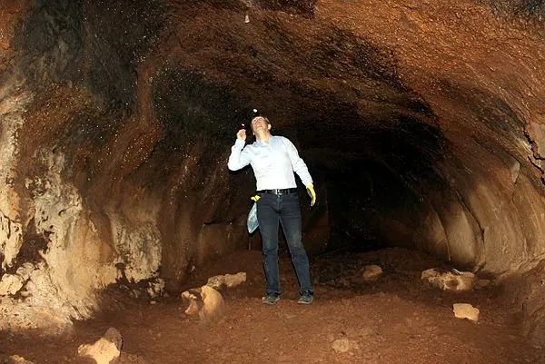Lav tüpü mağaraları yabani hayvanlara yuva oldu