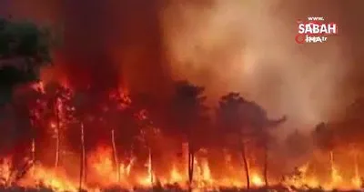 Fransa’daki orman yangınları söndürülemiyor | Video
