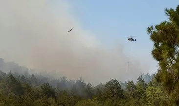 İzmir, Karaman, Bursa ve Çanakkale'de orman yangını! Alevlerle büyük mücadele sürüyor #karaman