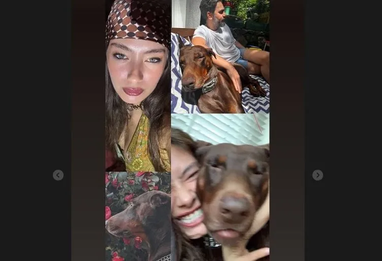 8 aylık hamile Neslihan Atagül can dostunu kaybetti!