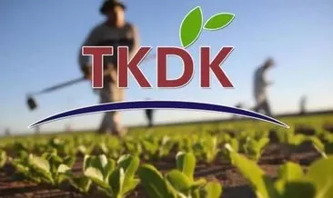 TKDK’dan yatırımcıya yüzde 50-80 oranında geri ödemesiz destek