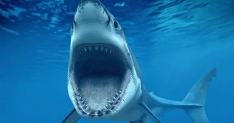 Avustralya’da köpek balığı saldırısı: 1 ölü