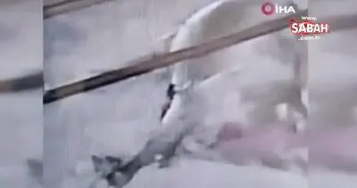 Son Dakika: Kahramanmaraş’ta ahıra giren yılanın kurbanlık dev boğayı öldürdüğü anlar kamerada | Video