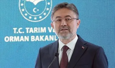 Bafra ve Çaycuma Sera OTB'lerinde üretim başladı #samsun