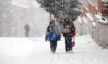Muş’un 3 ilçesinde eğitime kar engeli