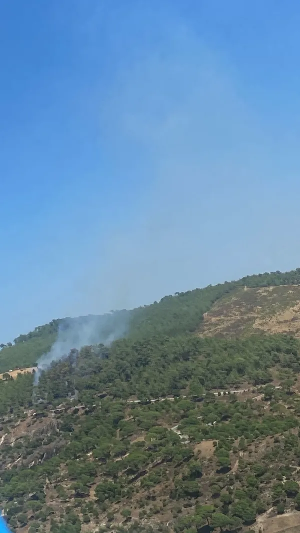son-dakika-muglada-orman-yangini-1693486110168.jpg