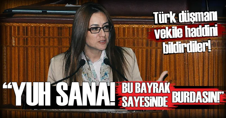 Türk düşmanı vekile sert tepki!