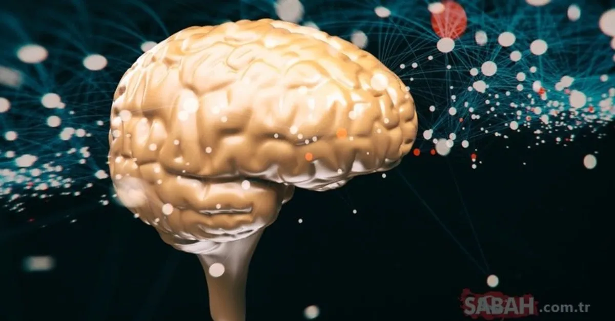 als hastaligi belirtileri nelerdir