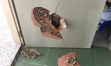 Karşıyaka taraftarı tesisleri bastı!