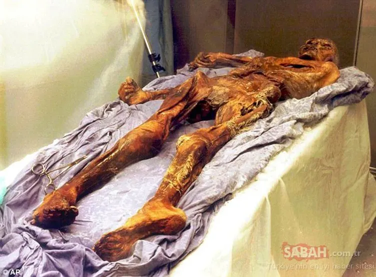 Buz adam Ötzi’nin son yemeği belli oldu