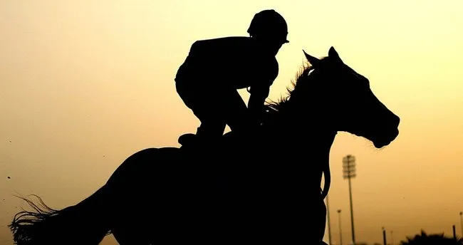 Rüyada at görmek ne anlama gelir? Rüyada kahverengi beyaz at görmek