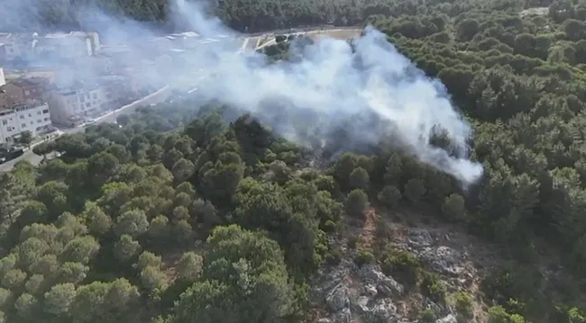 pendikte-ormanlik-alanda-cikan-yangin-sonduruldu-1751217196481.jpeg